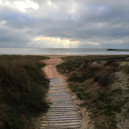 Neuf 40 M² 300 M De La *