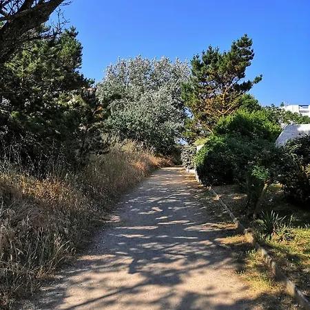 Neuf 40 M² 300 M De La Appartement *