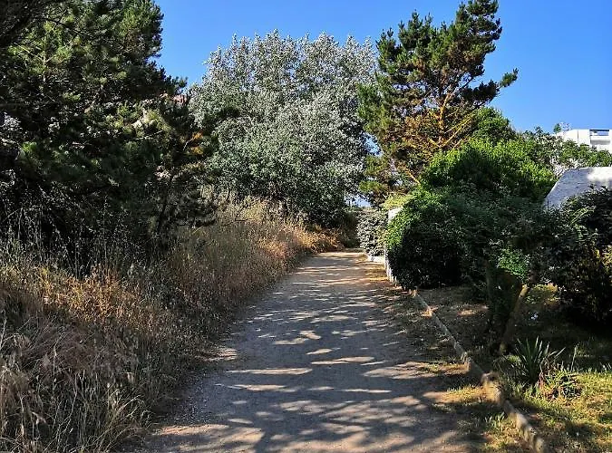 Neuf 40 M² 300 M De La 아파트 *